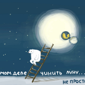 Из жизни медведей.