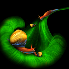 Ночная прогулка