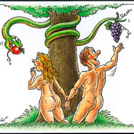 Познание в вине