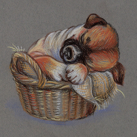 СЛАДКИЕ СНЫ