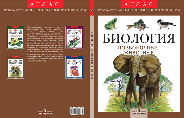 рисунок для обложки атласа