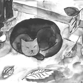 Кошка и поребрик