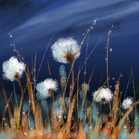 Лунная ночь.