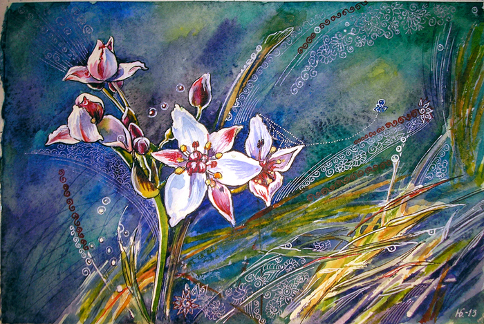 Ветер на болоте