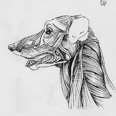 дворняга ленинградская