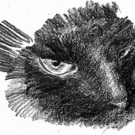 М.А. Булгаков. Мастер и Маргарита. Кот Бегемот (х 1)