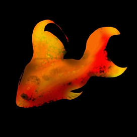 Золотая рыбка