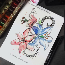 эскиз "Лилии"