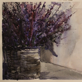 Снова лаванда