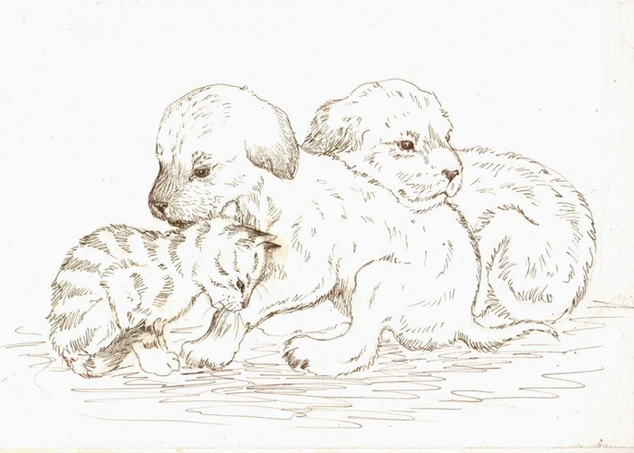 "Нет у нас подушки, нет и одеяла, жмемся мы друг к дружке, чтоб теплее стало!"