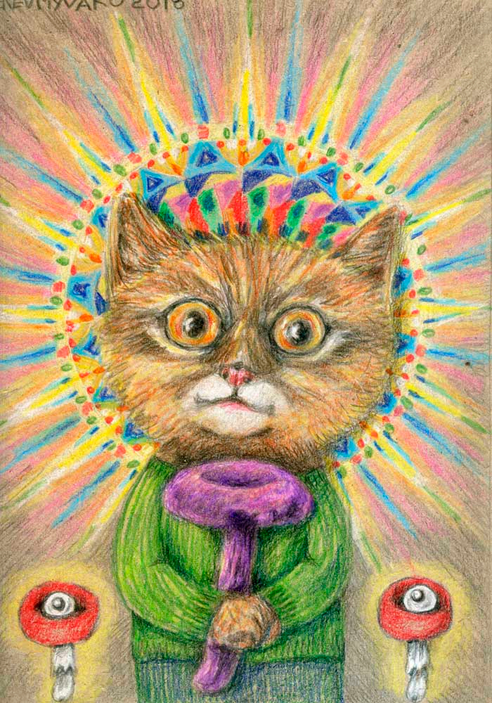 Свидетели Грибовые. Святой Держатель Грибной