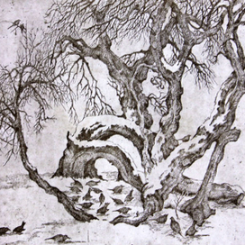 февральские скворцы