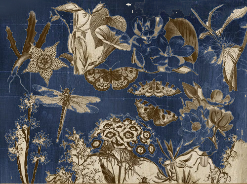 без названия