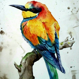 Больше цвета