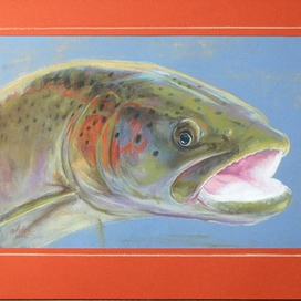 Радужная форель
