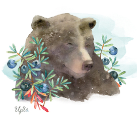 Медведь в шикше