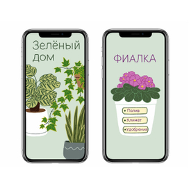 Приложение "Комнатные растения"