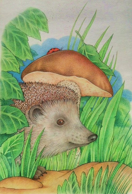 Гриб-зонтик