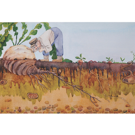 "... и выросла репка большая пребольшая"