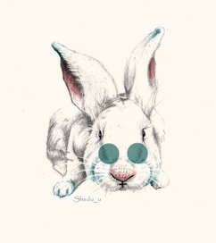 rabbit