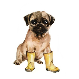 В резиновых сапожках