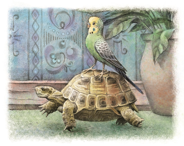 Покатаемся. Вариант в цвете на обложку.