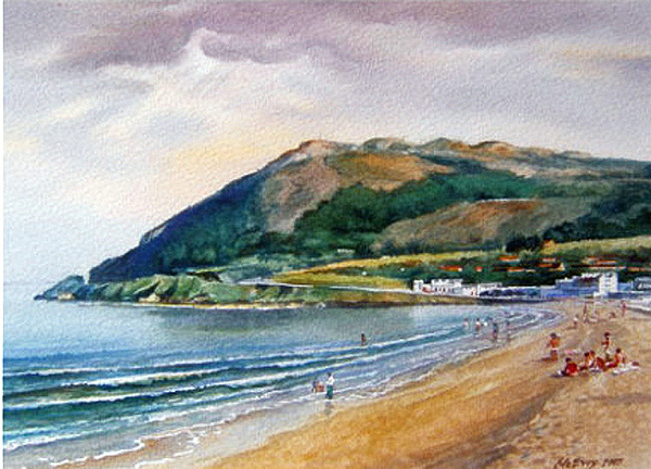 Bray.Ирландия.Местный пляж.