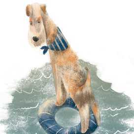 фокстерьер