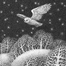 Ночной полёт