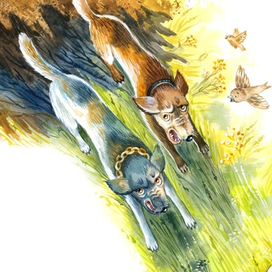 Разворот для книги