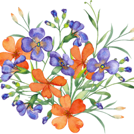 летний букет полевых цветов в фиолетовых и оранжевых тонах