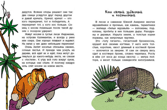 Кто без крыльев живет_19