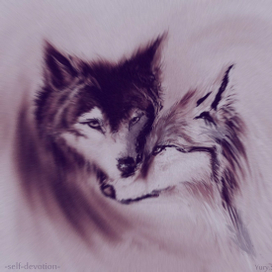 Преданность