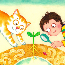 Как растут растения