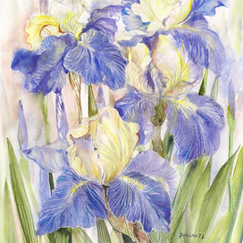 Цветы весны