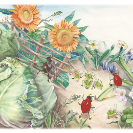 Деревня божьих коровок