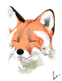 Fox Luxy