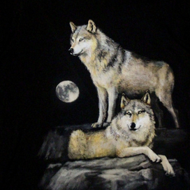 Роспись футболки "Волки" 