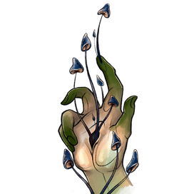 в плену леса