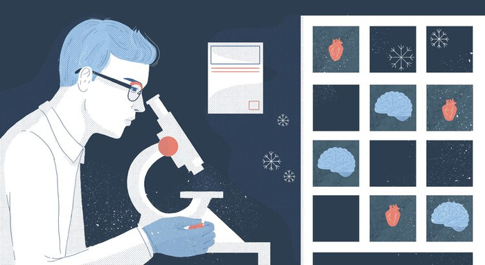 Иллюстрация для Hopes&Fears на тему крионики