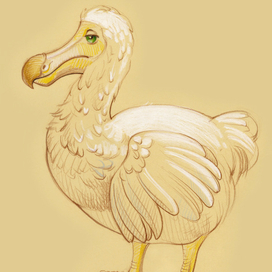 Додо, персонаж для Алисы в стране чудес 