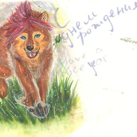 Наилучшие пожелания