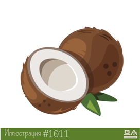 Иллюстрация кокос ДА#1011