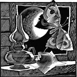 Окно, луна и мотылек -1