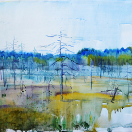 "Северное болото"