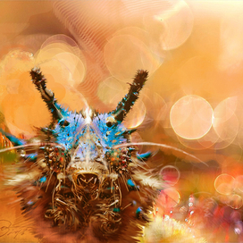 Lewis Carroll, "Alice in Wonderland"