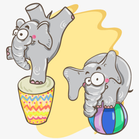 Слоны, цирк