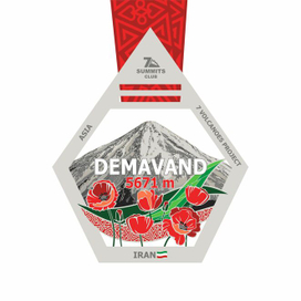 Векторная иллюстрация медали