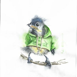 Синица в худи