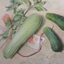 Овощи (кухонные зарисовки)